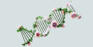 Flower DNA